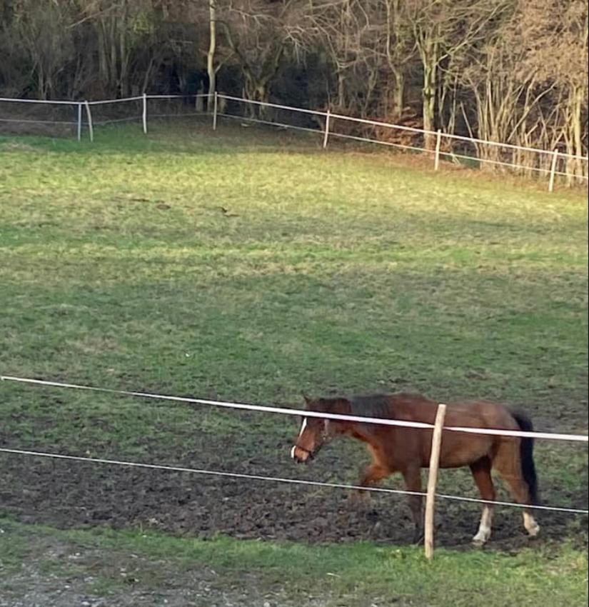 Willa Le Ranch Des Aguesses Andenne Zewnętrze zdjęcie
