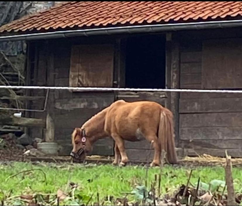 Willa Le Ranch Des Aguesses Andenne Zewnętrze zdjęcie