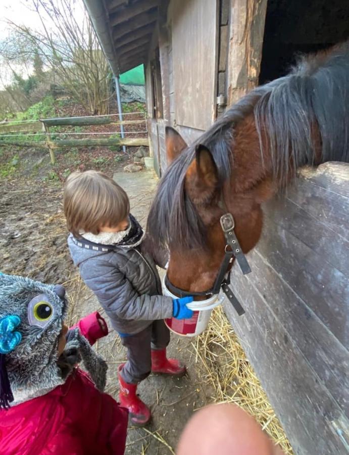 Willa Le Ranch Des Aguesses Andenne Zewnętrze zdjęcie