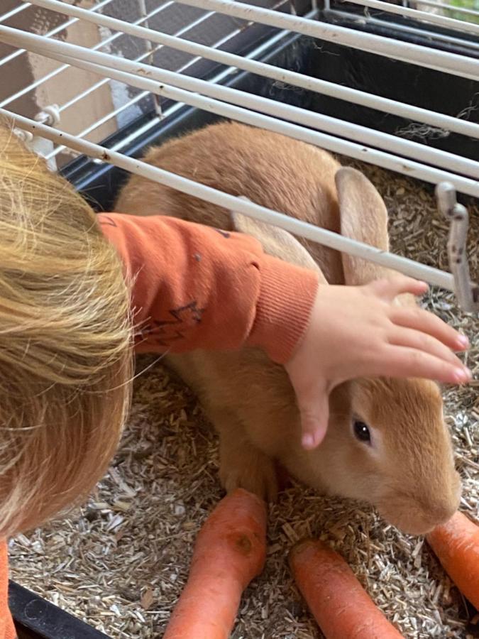 Willa Le Ranch Des Aguesses Andenne Zewnętrze zdjęcie