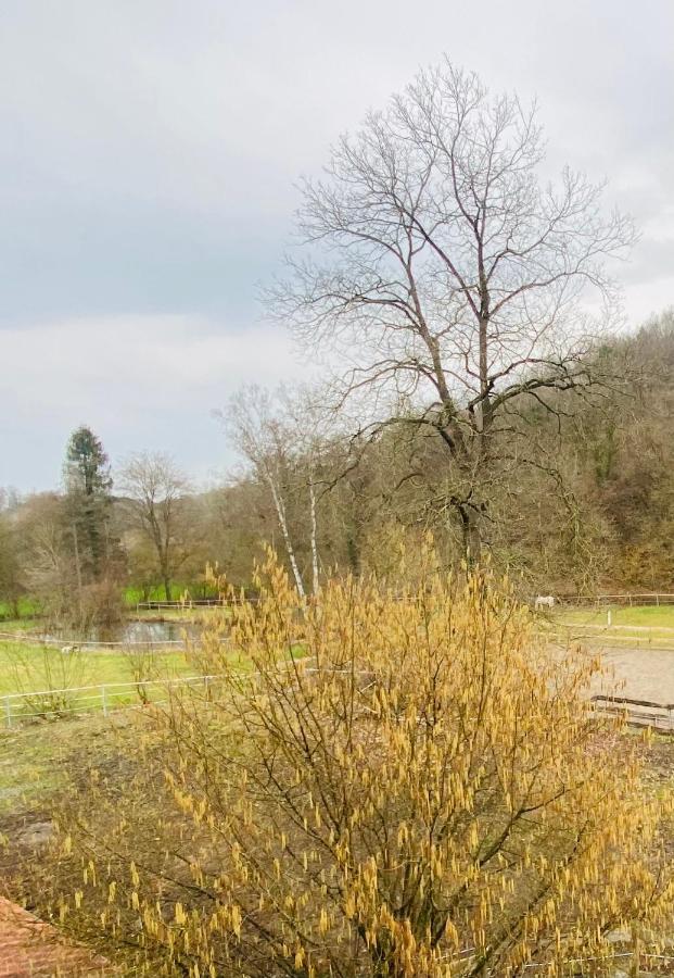 Willa Le Ranch Des Aguesses Andenne Zewnętrze zdjęcie