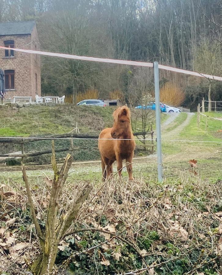 Willa Le Ranch Des Aguesses Andenne Zewnętrze zdjęcie